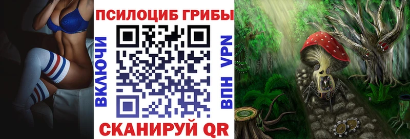 Галлюциногенные грибы мицелий Заводоуковск