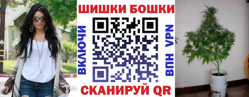 Канабис план  купить наркотик  Заводоуковск 